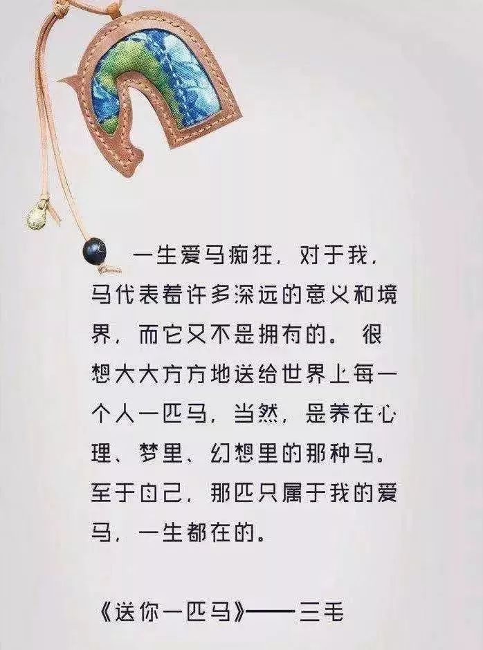 4949澳门特马今晚开奖53期;-精选解析，确保成语解释落实的问题_尊享款