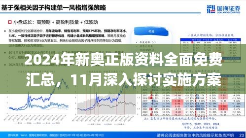 全面解析;-精选解析，2025年新澳正版资料查询方法与落实策略