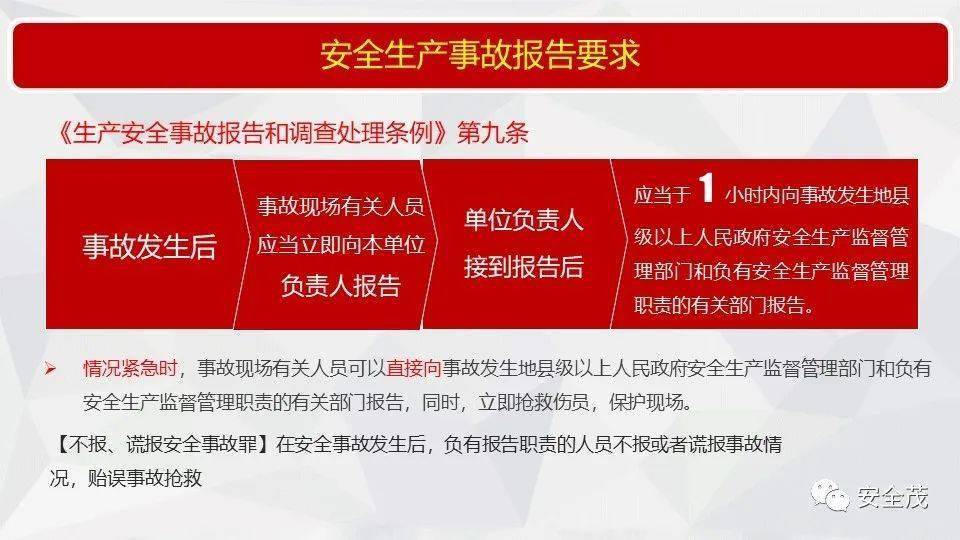 王中王493333WWW马头诗;-精选解析，全面释义解释落实